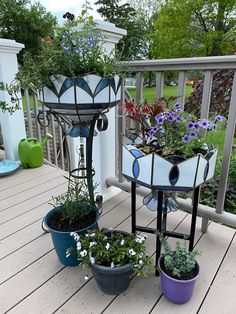 several potted plants on a deck with flowers