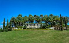 the sign for toscana beach is surrounded by palm trees and lush green grass