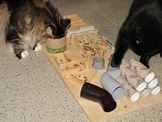 two cats are playing with wooden toys on the floor in front of a cat toy