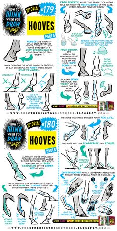 an illustrated poster showing different types of feet and their functions in the process of drawing