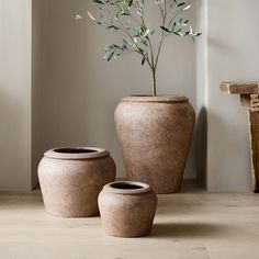 two vases with plants in them sitting on the floor