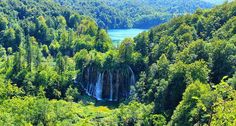 a waterfall in the middle of a forest filled with lots of green trees and water