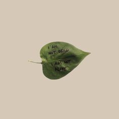 a leaf with writing on it that says i am not dead, i am not alive