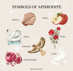 the symbols of aphrodite are shown in this illustration, including roses, pears, pomegranate and sea shells