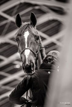 a black and white photo of a horse being held by a person in front of a building