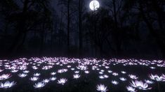 a field filled with lots of purple flowers under a full moon lit sky at night