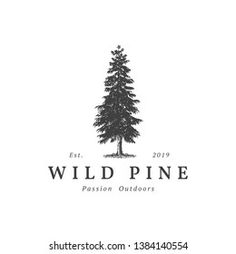 the wild pine logo is shown in black and white, with an image of a tree