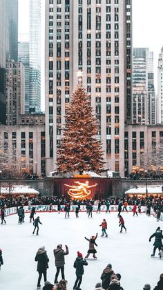 people skating on an ice rink with a christmas tree in the center and buildings around it