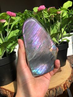 Purple Labradorite