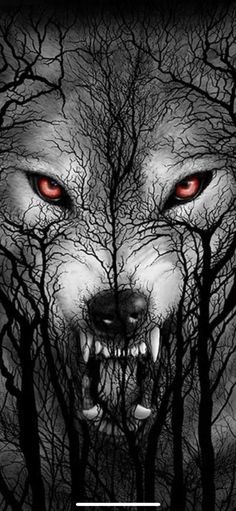 a wolf with red eyes in the woods