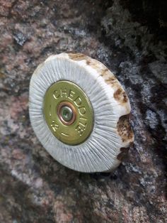 a small white object sitting on top of a rocky surface next to a green button