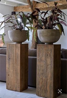 two vases with plants in them sitting on top of wooden blocks next to a couch