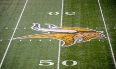 a football field with the logo of the university of minnesota on it and numbers painted on it