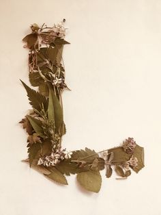 the letter l is made up of leaves and flowers