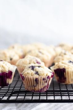 blueberry muffins on a cooling rack with the words vegan blueberry muffins