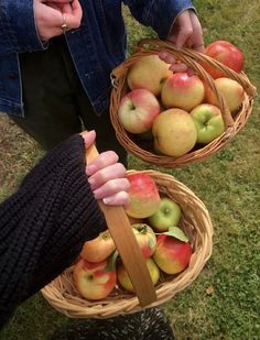 Picking Apples Aesthetic, Holiday Activities Aesthetic, Fall Apple Aesthetic, Apple Picking Picture Ideas, Fall Apple Picking Aesthetic, Apple Picking Aesthetic Fall, Fall Day Aesthetic, Apple Picking Date, Apples Aesthetic