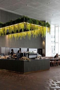 a restaurant with green plants hanging from the ceiling