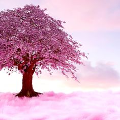 a pink tree in the middle of a field with fluffy grass and clouds behind it