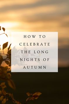 the sun shining through leaves with text overlay how to celebrate the long nights of autumn