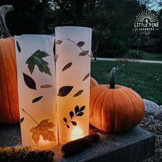 three lit candles sitting on top of a table next to pumpkins