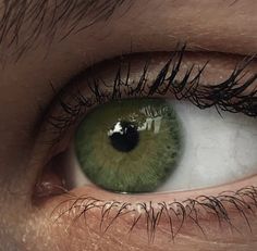 Dark Green Eyes, Beautiful Eyes Color, Aesthetic Eyes, Throne Of Glass, Intp, Pretty Eyes, Eye Art, Character Aesthetic