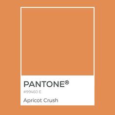 pantone's apricot crush color is shown in an orange square frame