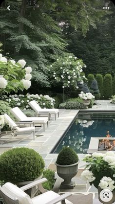 an outdoor pool surrounded by white flowers and greenery, with lounge chairs around it