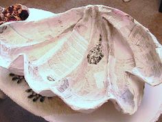 a paper plate that has some sort of bird on it's back and is sitting on top of a table