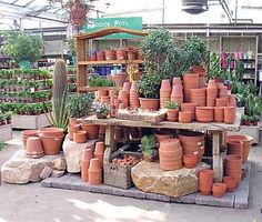 there are many potted plants on display in the store