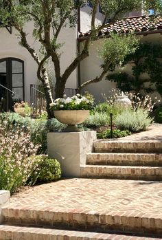 an outdoor garden with steps leading up to the house