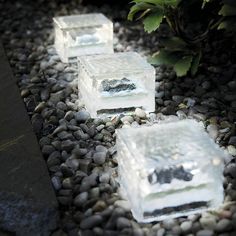 three ice cubes sitting on top of some rocks next to a plant and water