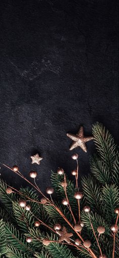 christmas decoration with pine branches and star decorations