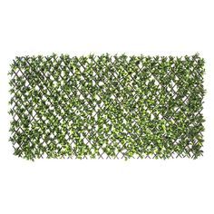 a close up view of the top of a green hedge mat on a white background