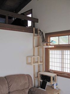 a cat climbing up the side of a ladder in a living room next to a window