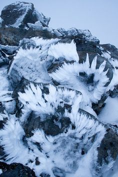 snow covered rocks and plants on the side of a mountain