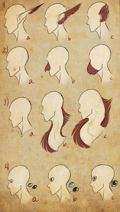 an old paper with many different types of head shapes and haircuts on it