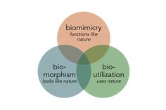 three circles with words that say biomorpism, bio - morphiation and uses nature