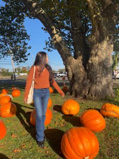 a woman standing next to a tree with lots of pumpkins on the ground in front of her