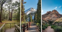 three different views of trees, mountains and walkways in the woods with wooden railings