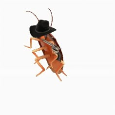 a bug with a hat on it's head