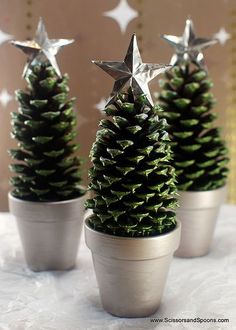 three potted pine trees with silver stars on them