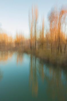 an image of a lake with trees in the foreground and water on the other side