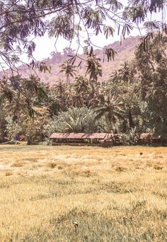 an empty field with trees and mountains in the backgroung, near where there is a train on it