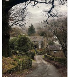 an old stone house with trees on both sides and a dirt road leading to it