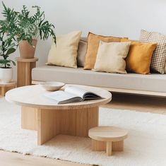 a living room with a couch, coffee table and potted plant in the corner