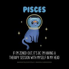 a cat in an astronaut's helmet with the words pisces on it