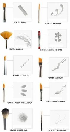 the different types of makeup brushes and their names are shown in this diagram, which shows how to use them