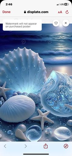 seashells and starfish on the beach at night