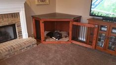 a living room with a dog laying on the floor in front of a tv and fireplace