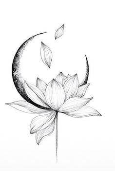 a black and white drawing of a lotus flower with the moon in the sky above it